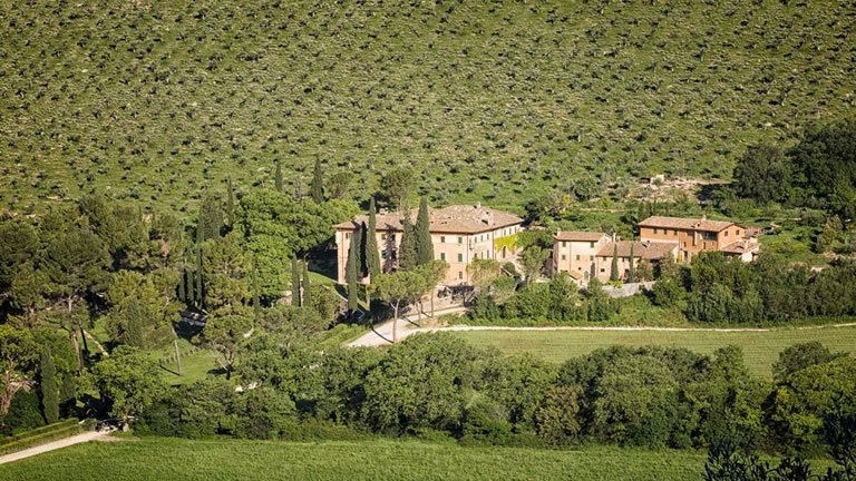 Walking the Olive Trails of Umbria