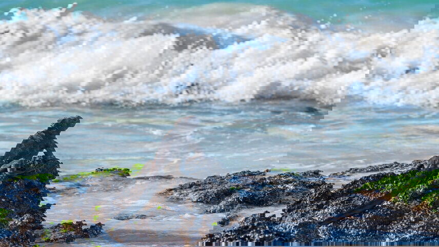 Highlights of Ecuador & the Galapagos