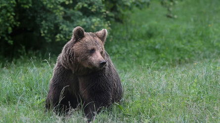 8 Day Bulgaria: Realm of the Brown Bear (Exodus)