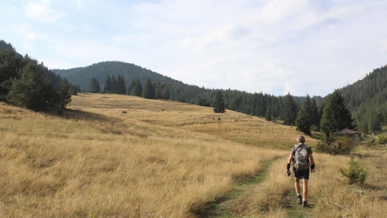 Bulgaria: Realm of the Brown Bear