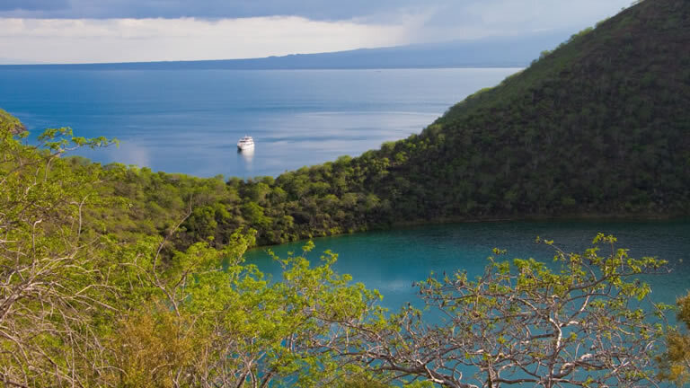 Galapagos Encounter (Itinerary D)