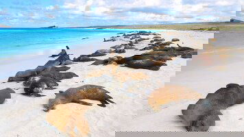 6 Day Galapagos Escape (Itinerary B) (Exodus)