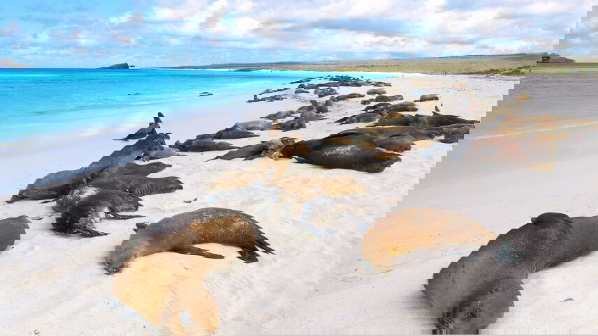 Galapagos Escape (Itinerary B)