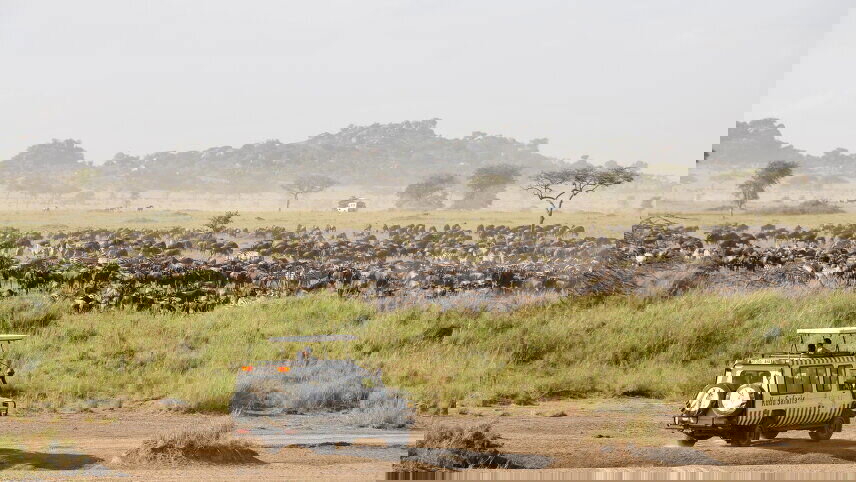 Kenya Safari Adventure