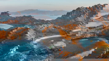 13 Day Primates & Dragons of Indonesia (Exodus)