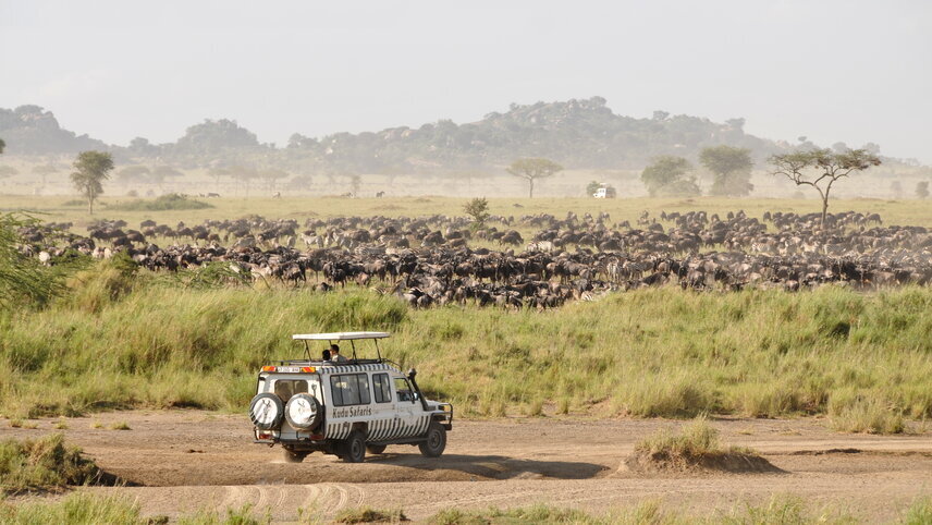 Tanzania Safari Adventure