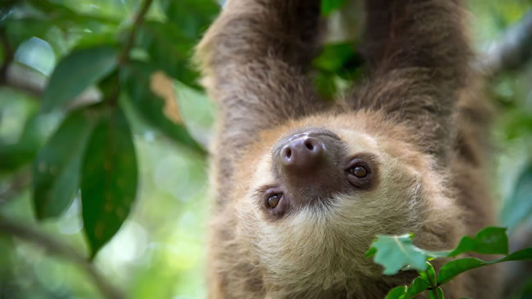 Discover Costa Rica Discover Costa Rica