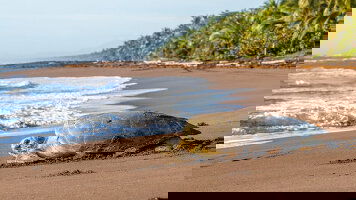 15 Day Costa Rica's Coastal Secrets (Exodus)