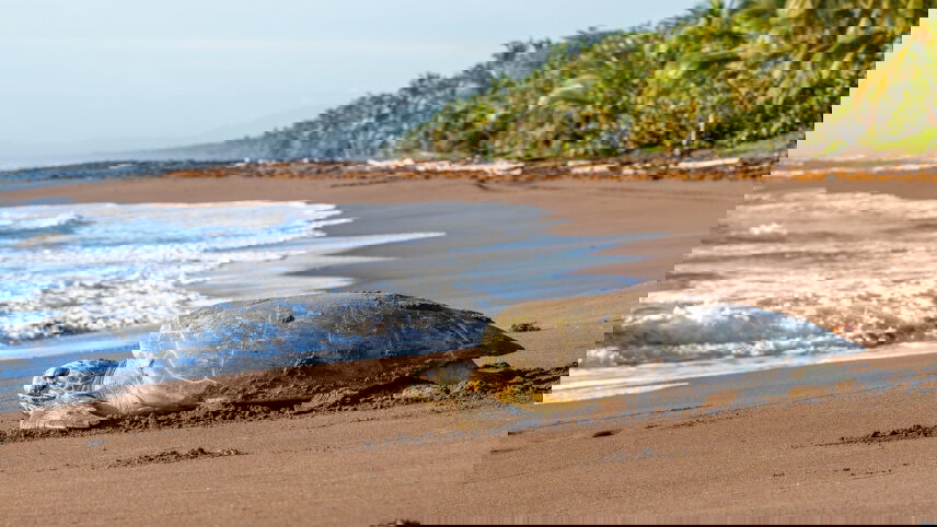 Costa Rica's Coastal Secrets