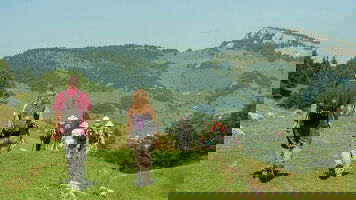 8 Day Carpathian Walking & Bears (Exodus)