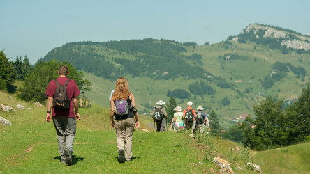 8 Day Carpathian Walking & Bears (Exodus)