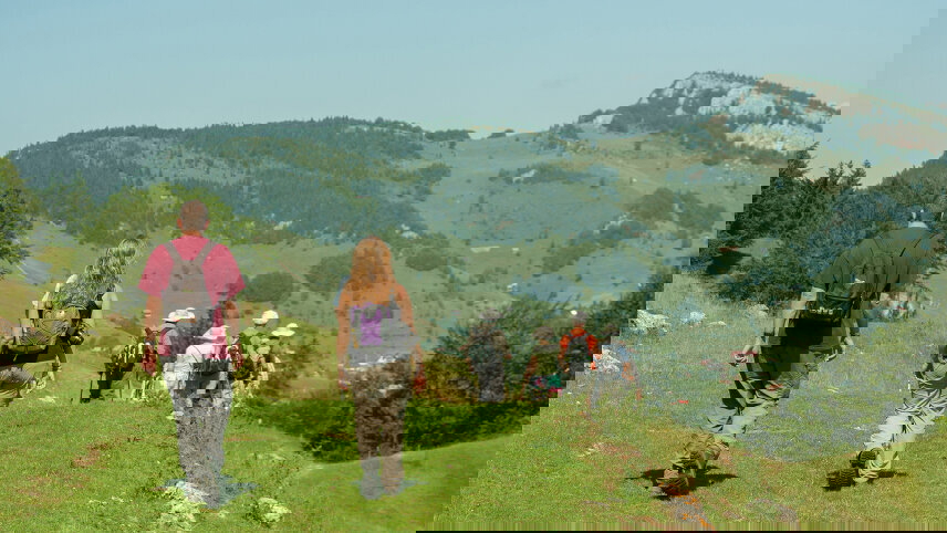 Carpathian Walking & Bears