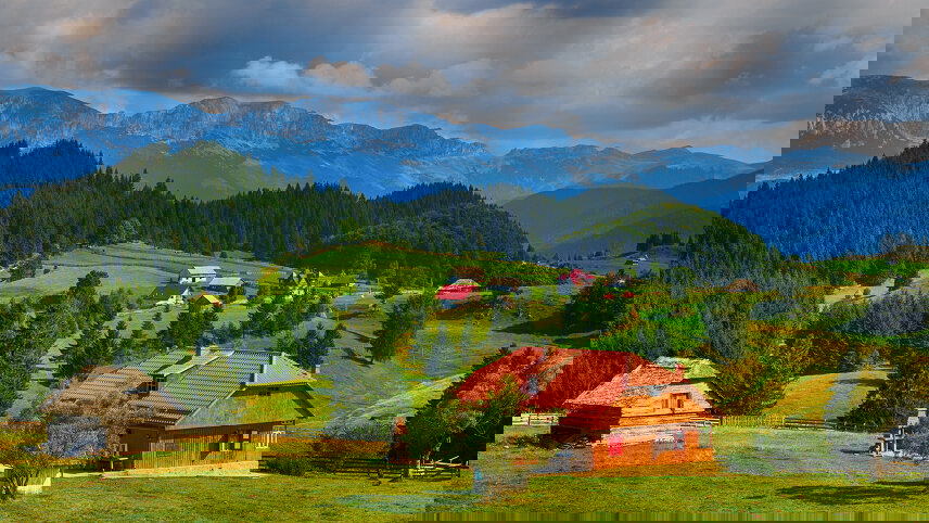 Carpathian Walking & Bears