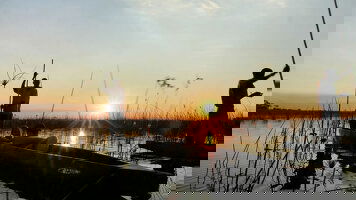 14 Day Botswana & Zimbabwe Lodge Safari (Exodus)