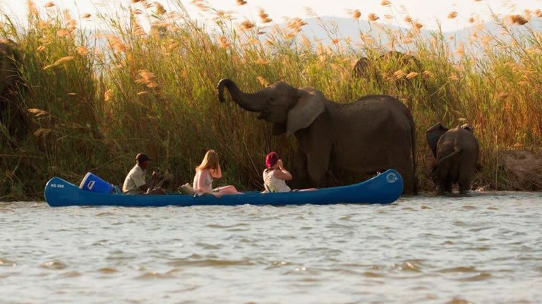 Zambezi Canoe Safari