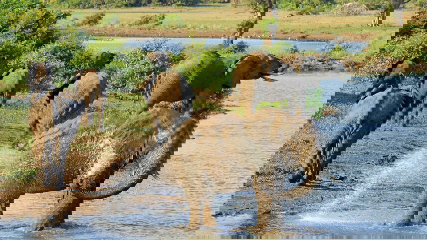 Southern Africa Safari: Kruger & Coast