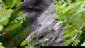 About Exodus Travels