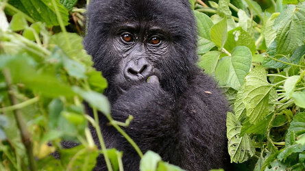 About Exodus Travels