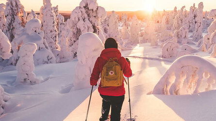 About Exodus Travels