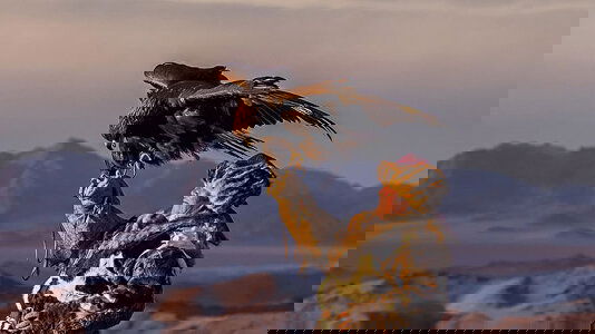 Explore Explore Beyond