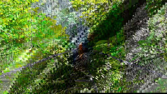 Explore Classic Discovery Tours