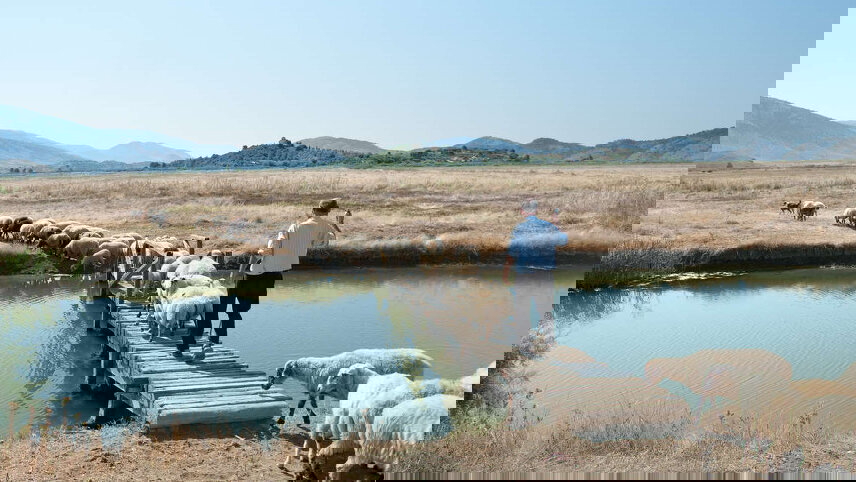 Highlights of Albania