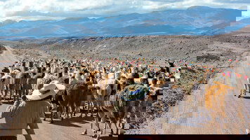 13 Day Best of Argentina, Bolivia & Chile (Explore)