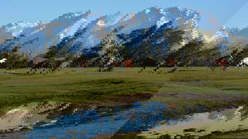 Highlights of Chile - Atacama to Paine