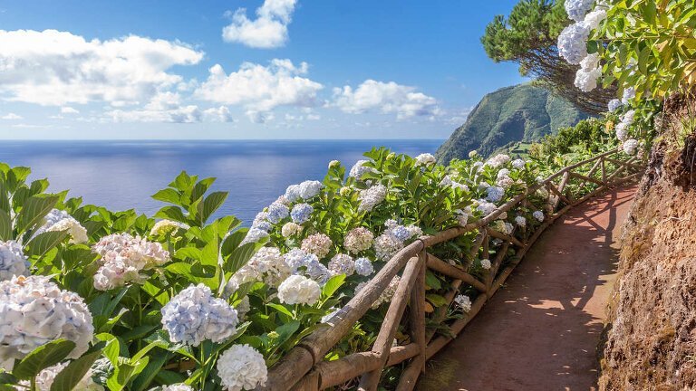 Walking in the Azores