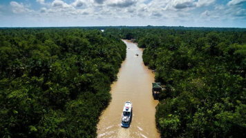 14 Day Brazilian Amazon by Boat (Explore)