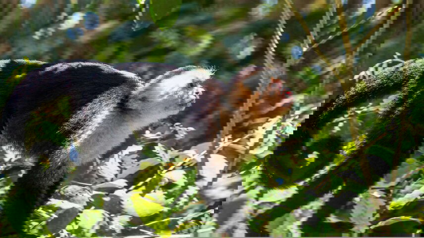 Highlights of Costa Rica