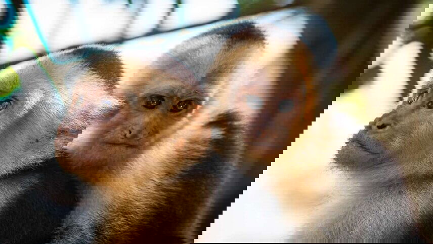 Highlights of Costa Rica with Beach Extension