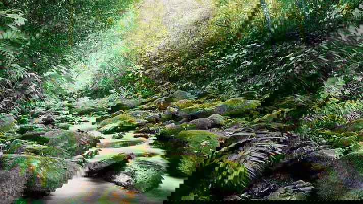  Costa Rica Small Group Tours - 2025-2027 Seasons Bildidee 