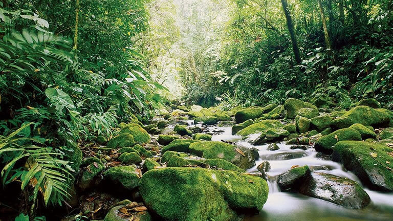 Highlights of Costa Rica with Beach Extension