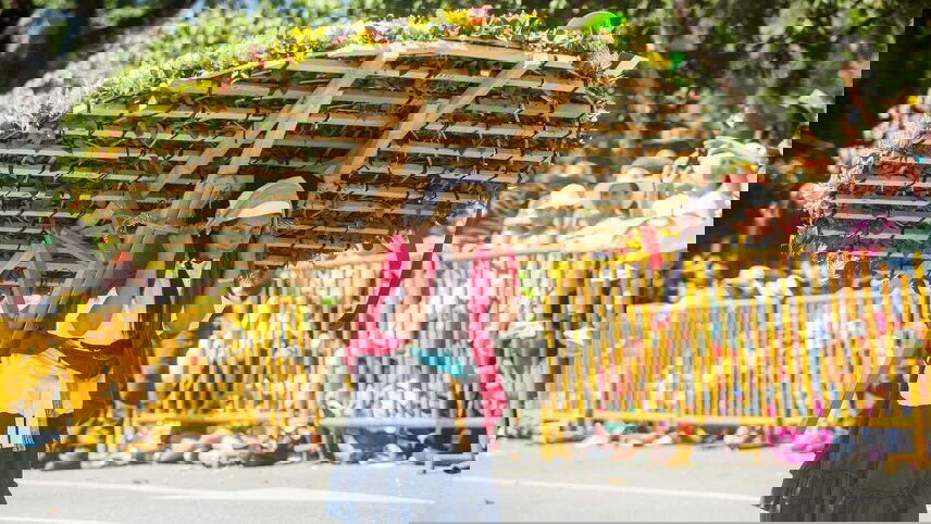 Contrasts of Colombia (Flower Festival)