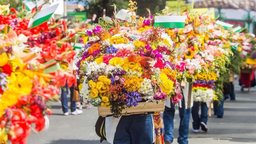 Contrasts of Colombia (Flower Festival)