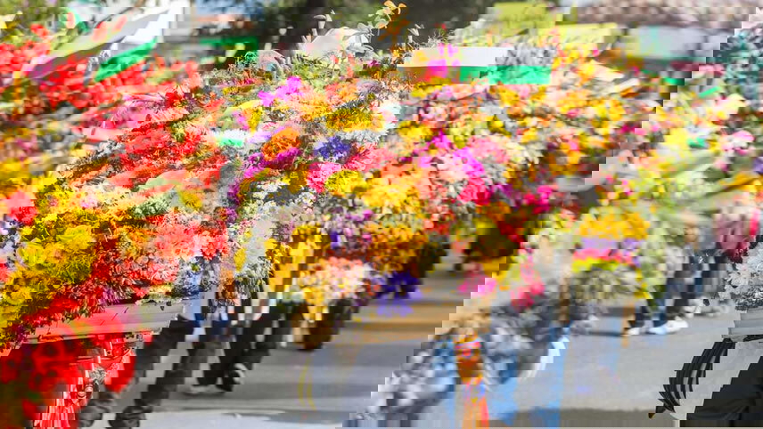 Contrasts of Colombia (Flower Festival)