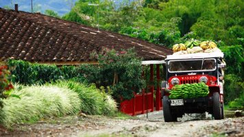 14 Day Contrasts of Colombia (Explore)