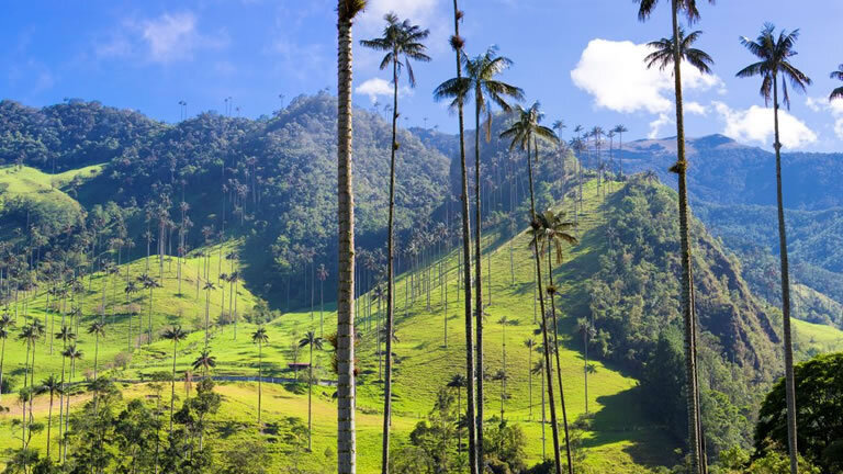 Contrasts of Colombia