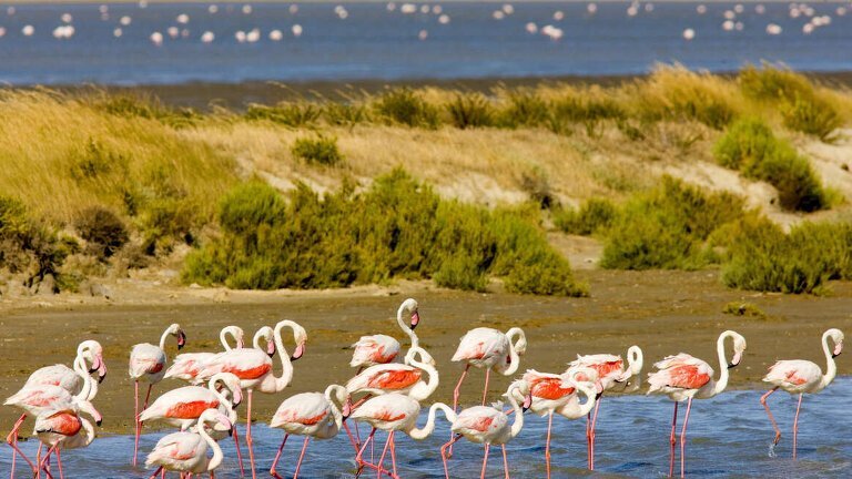 Barcelona, Provence & the Italian Riviera