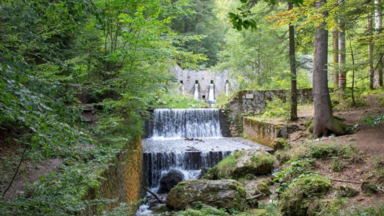 Transylvanian Long Weekend