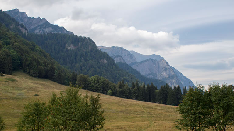 Transylvanian Long Weekend