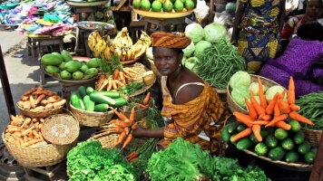 14 Day Benin & Togo Voodoo Discovery (Explore)