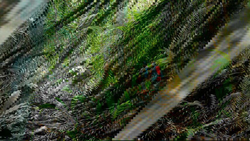 Costa Rica Wildlife Tour