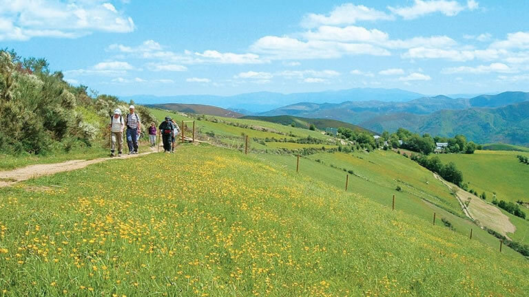 Walking the Camino de Santiago