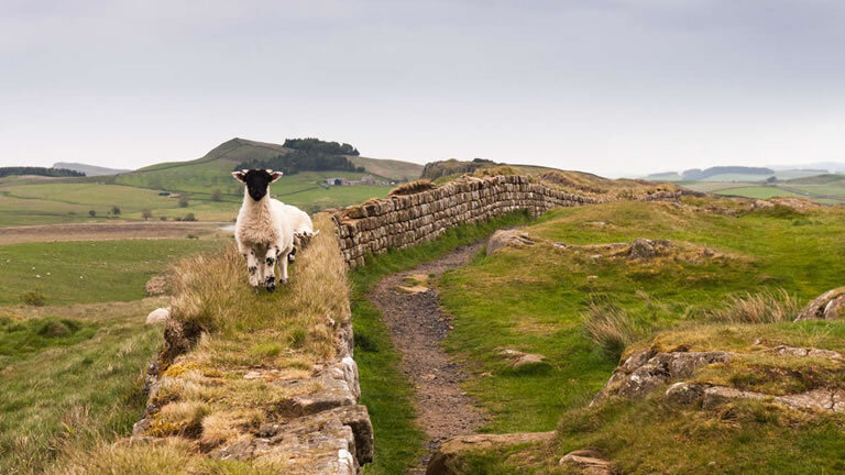 Cycle Hadrian's Wall - Coast to Coast