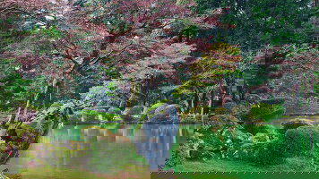 13 Day Cycle Japan (Explore)