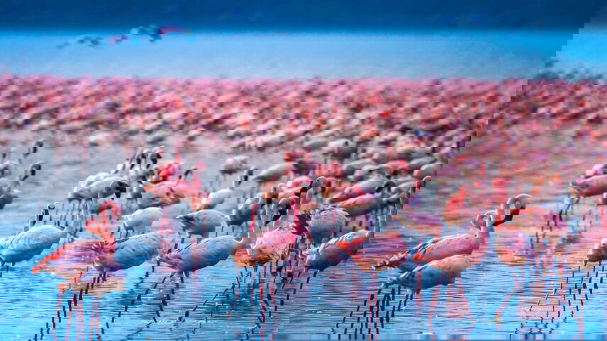 Cycle Mexico - The Yucatan Peninsula