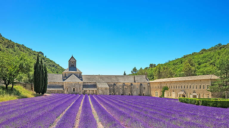 Cycle Provence