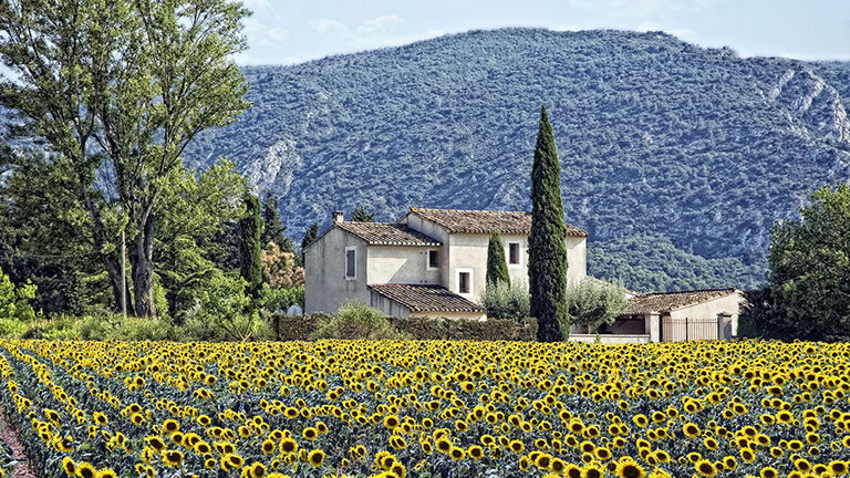 Cycle Provence